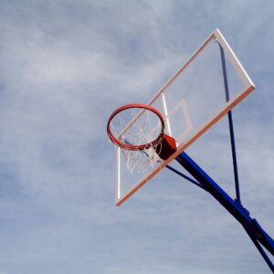 Hoopz IQ Recycled Rubber Basketball Insoles